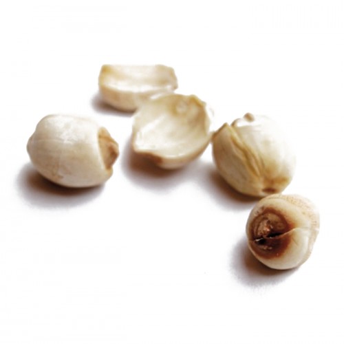 LIAN ZI - Semen Nelumbinis Nuciferarae