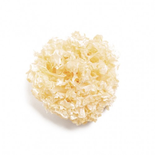 BAI MU ER Tremella fuciformis 10gr