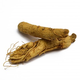 HONG SHEN - Radix Ginseng***