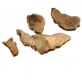 ZAO XIU/QI YE YI ZHI HUA - Rhizoma Paridis