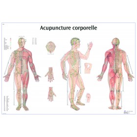 Poster des points d'acupuncture (Français)