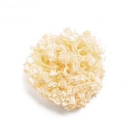 BAI MU ER - Fructus Tremellae Fuciformis
