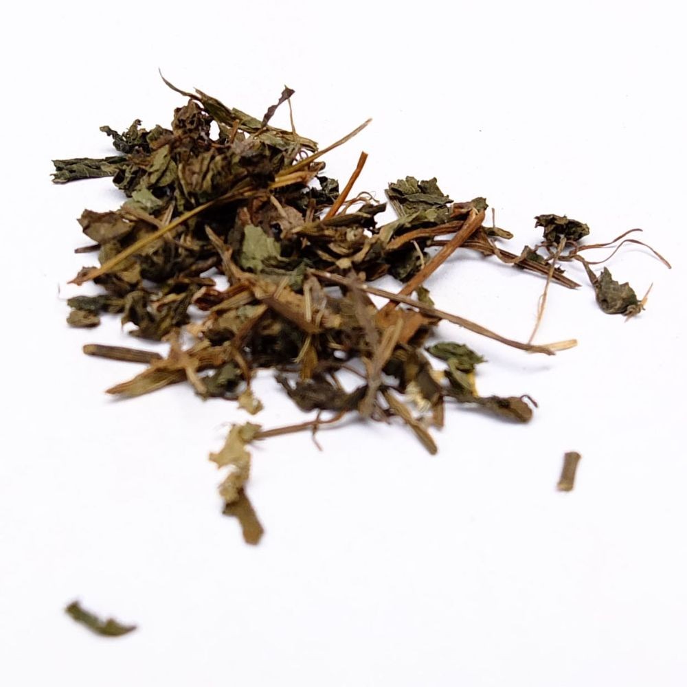 XI XIAN CAO Herba Siegesbehiae Verd