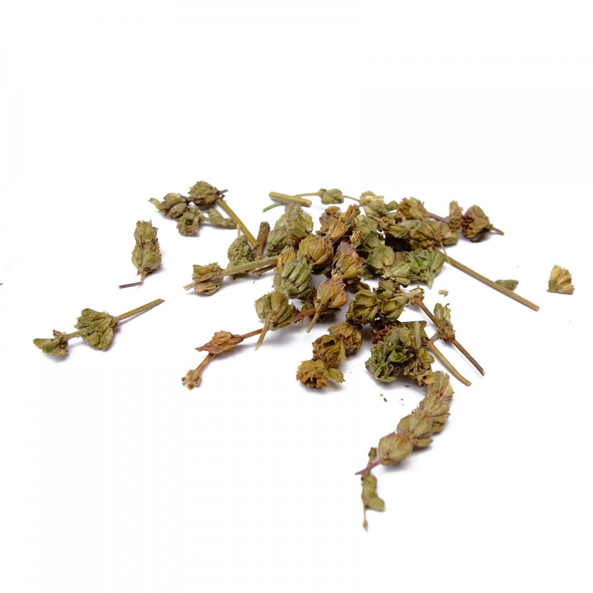 CHE QIAN CAO Herba Plantaginis Verd