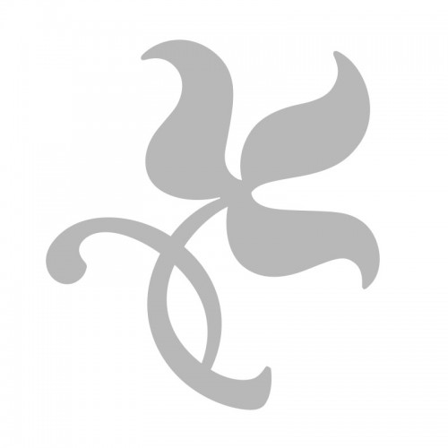 Oli essencial de Ylang-Ylang
