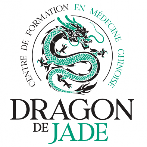 Kit étudiant Dragon de Jade
