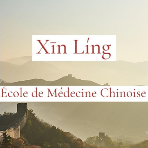 Kit étudiant XIN LING Moxibustion