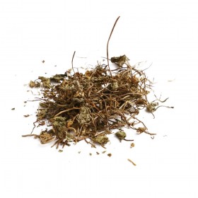 JI XUE CAO - Centela Asiatica - Herba Centellae