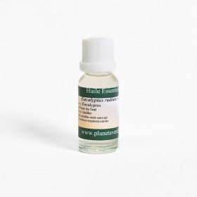 Oli essencial d'Eucalyptus Radiata