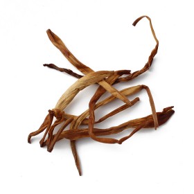 HUANG HUA CAI - Hemerocallis fulva 50gr