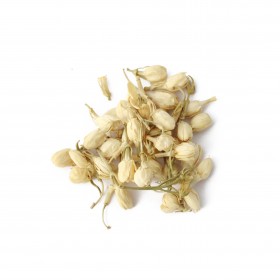 MOLI HUA - Jasminum sambac aiton 40gr