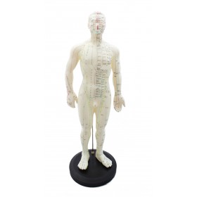 Model cos humà home