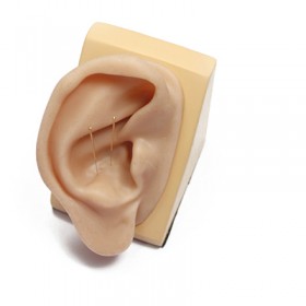 Model d'orella en silicona per acupuntura